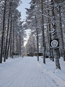 Driveway
