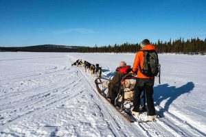 dogsled tours in kiruna
